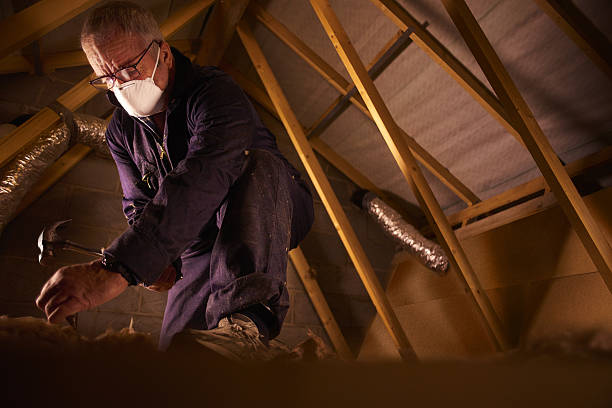 Best Cellulose Insulation in Marsing, ID